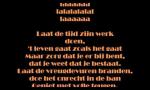 Guus Meeuwis - 't Dondert en het bliksemt